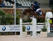 Fenili In the Name GioCav2013 S5 2403 : Campionati Italiani Giovani Cavalli, Cattolica, Fenili Davide, In the Name d'Acheronte, ph Stefano Secchi ©